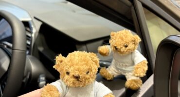 マイスターベア新作ご紹介🐻👚