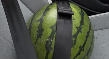 今年も🍉